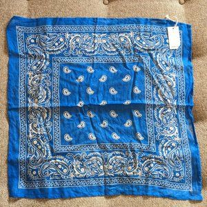Chan Luu Blue and White Square Scarf/Bandana